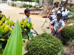 Environmental awareness day  Class II 24 March 2023.